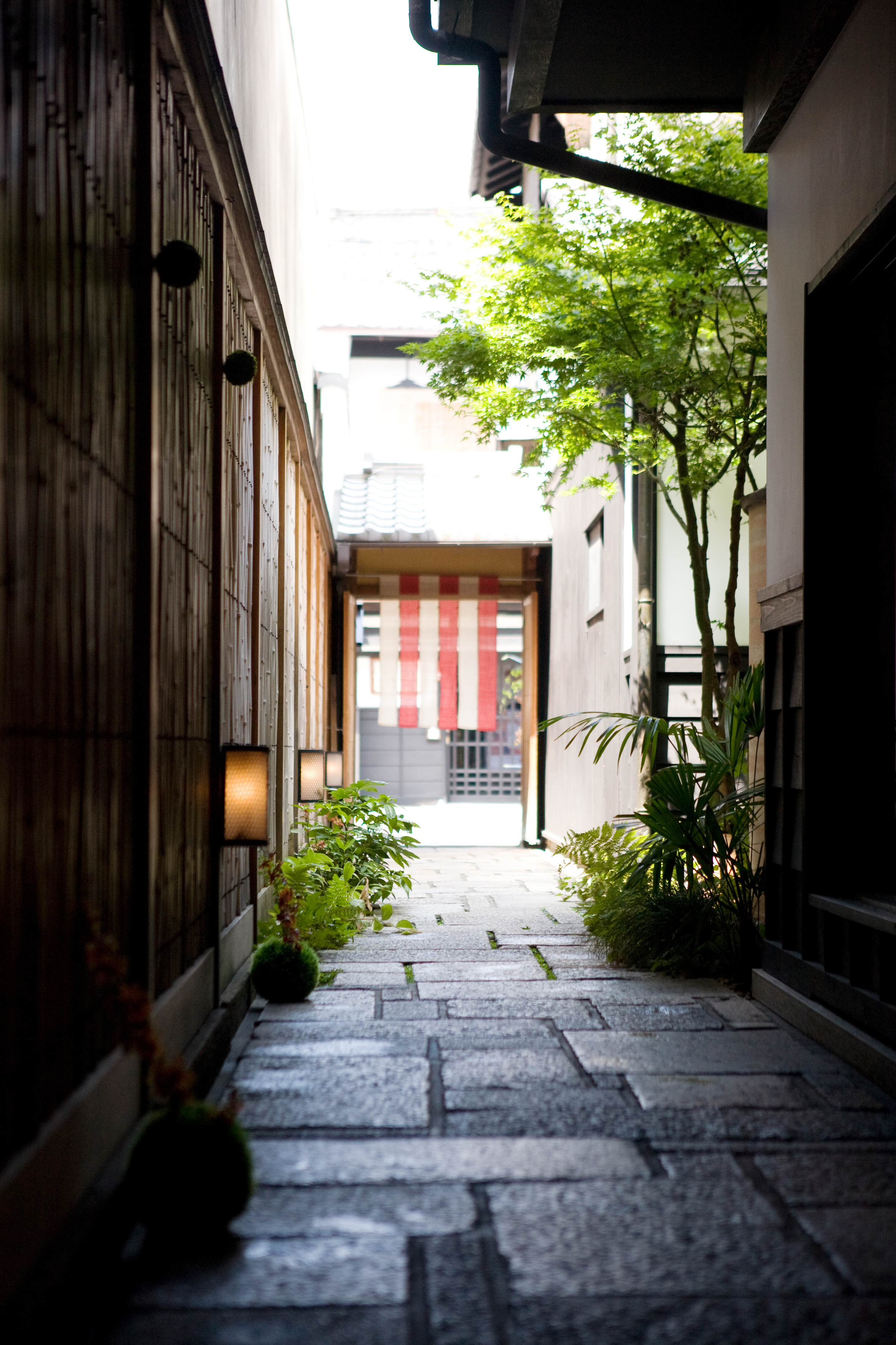 くろちく百千足館 外観と能舞台